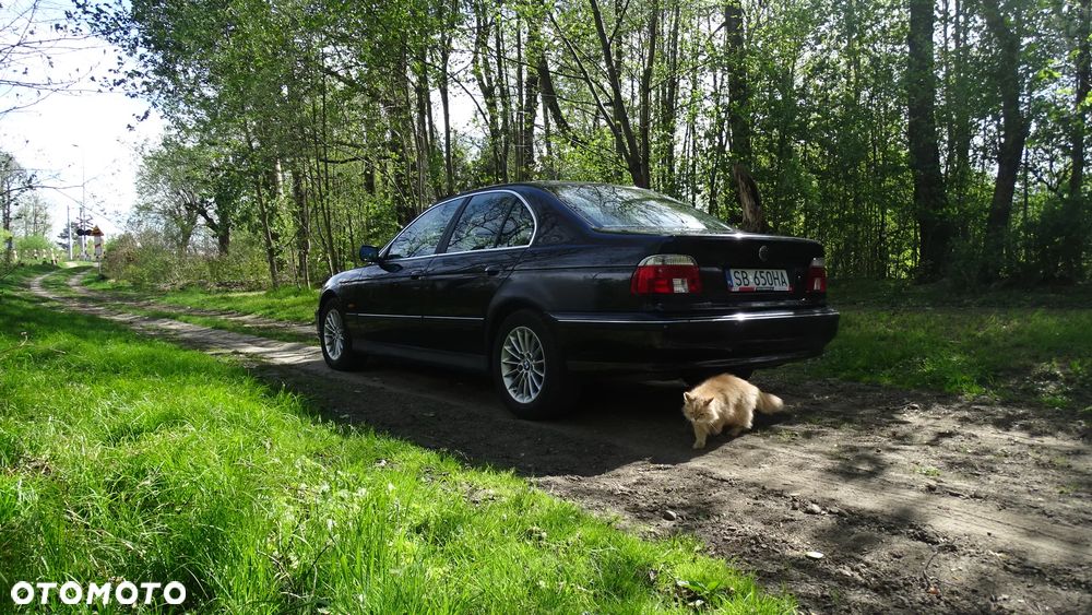 BMW Seria 5 - 8