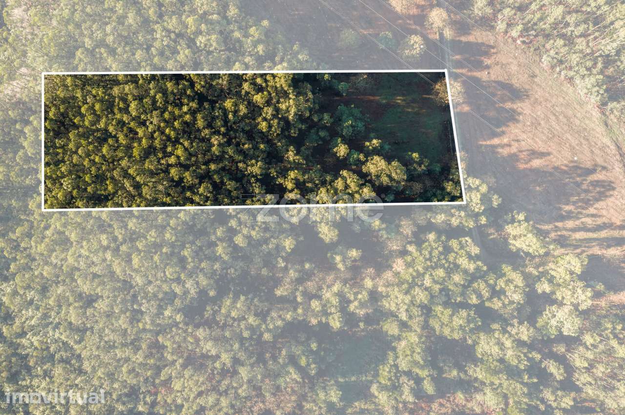 Terreno Rústico com 3.930 m2 na Carvalhosa, Paços de Ferreira - Grande imagem: 3/15