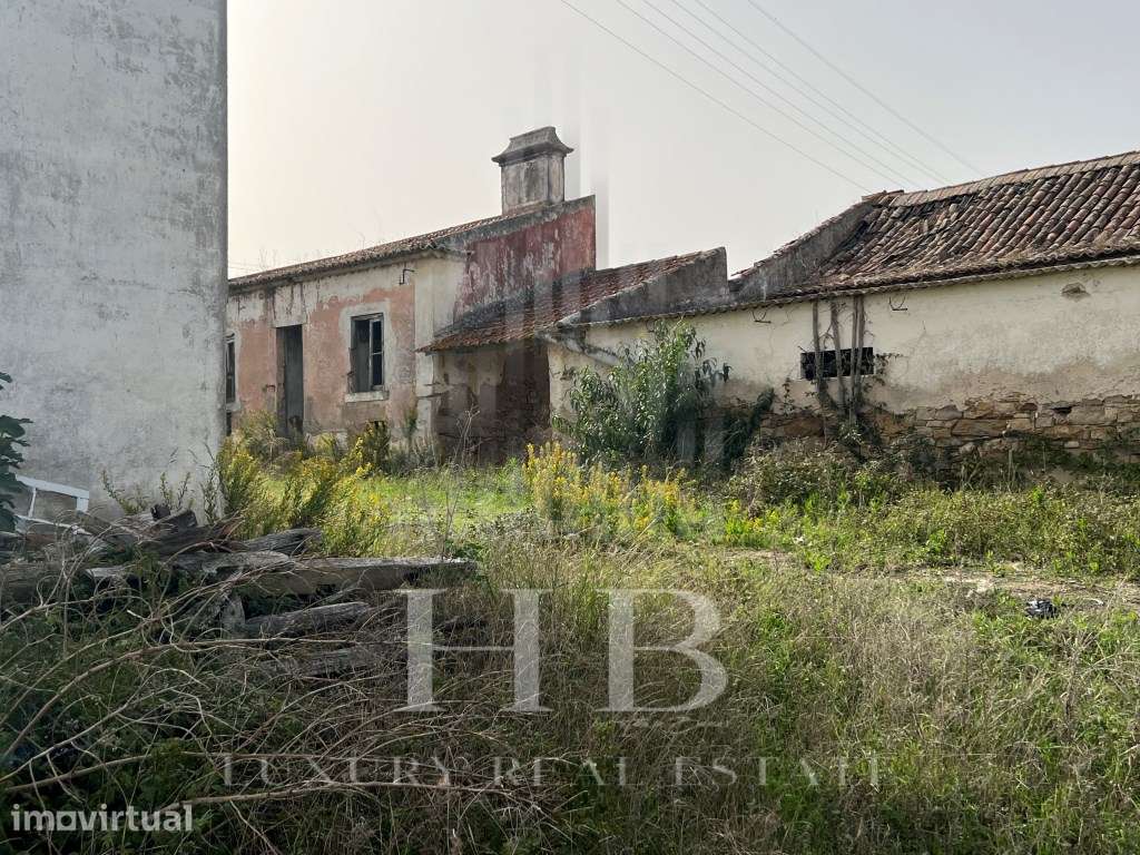 Quinta | Torres Vedras - Grande imagem: 5/60