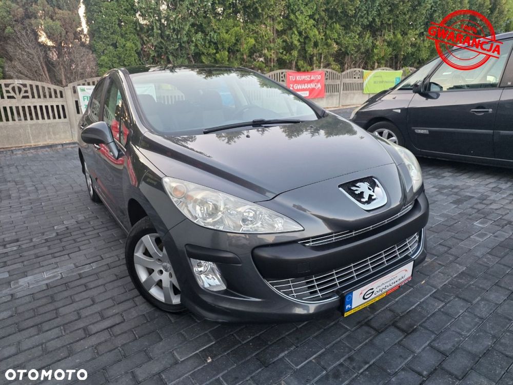 Peugeot 308 1.6 Premium - 17