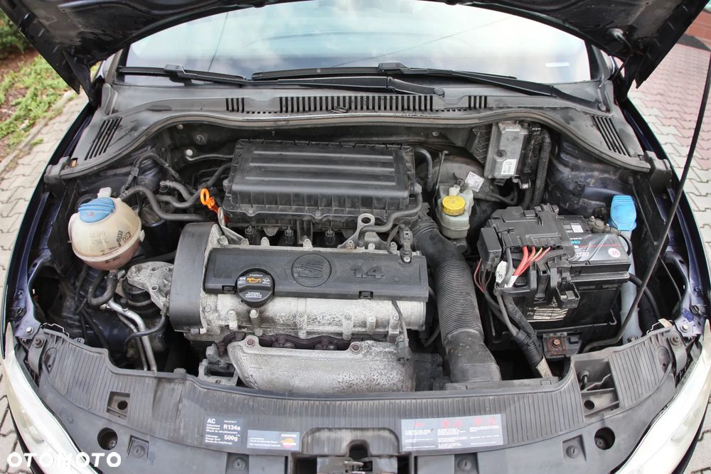 Seat Ibiza - 39