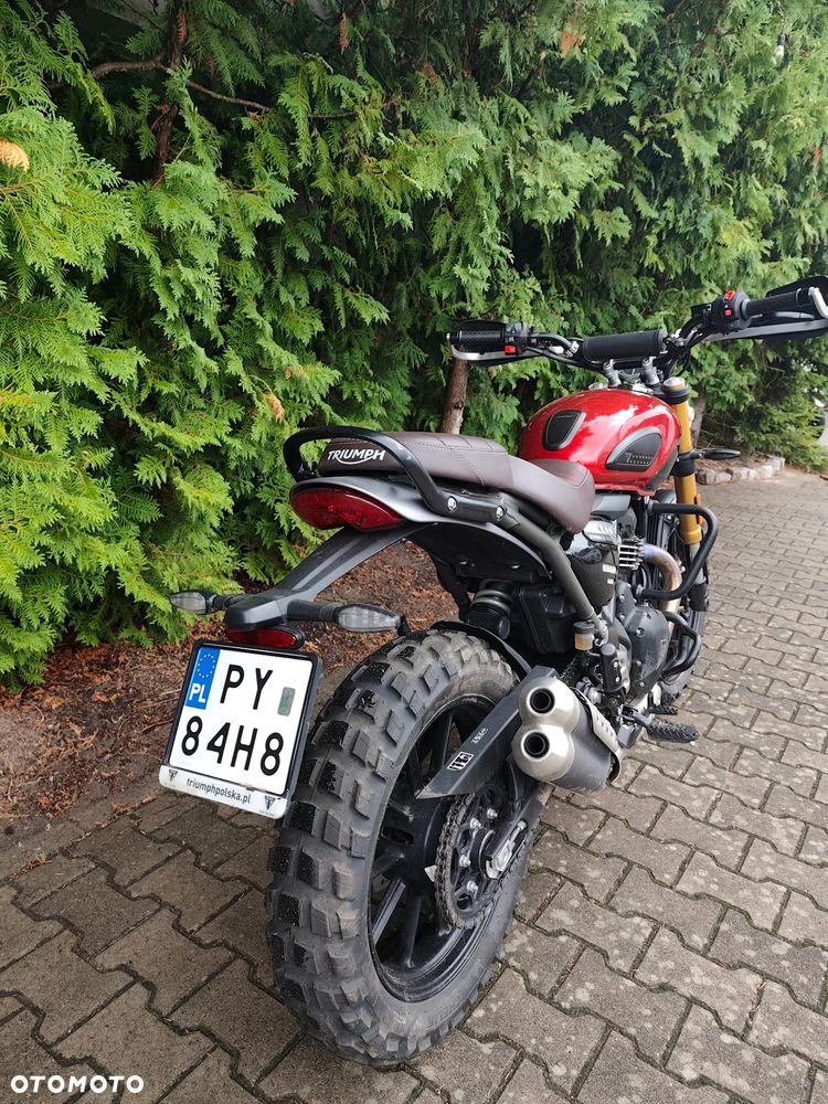 Triumph Scrambler - 4