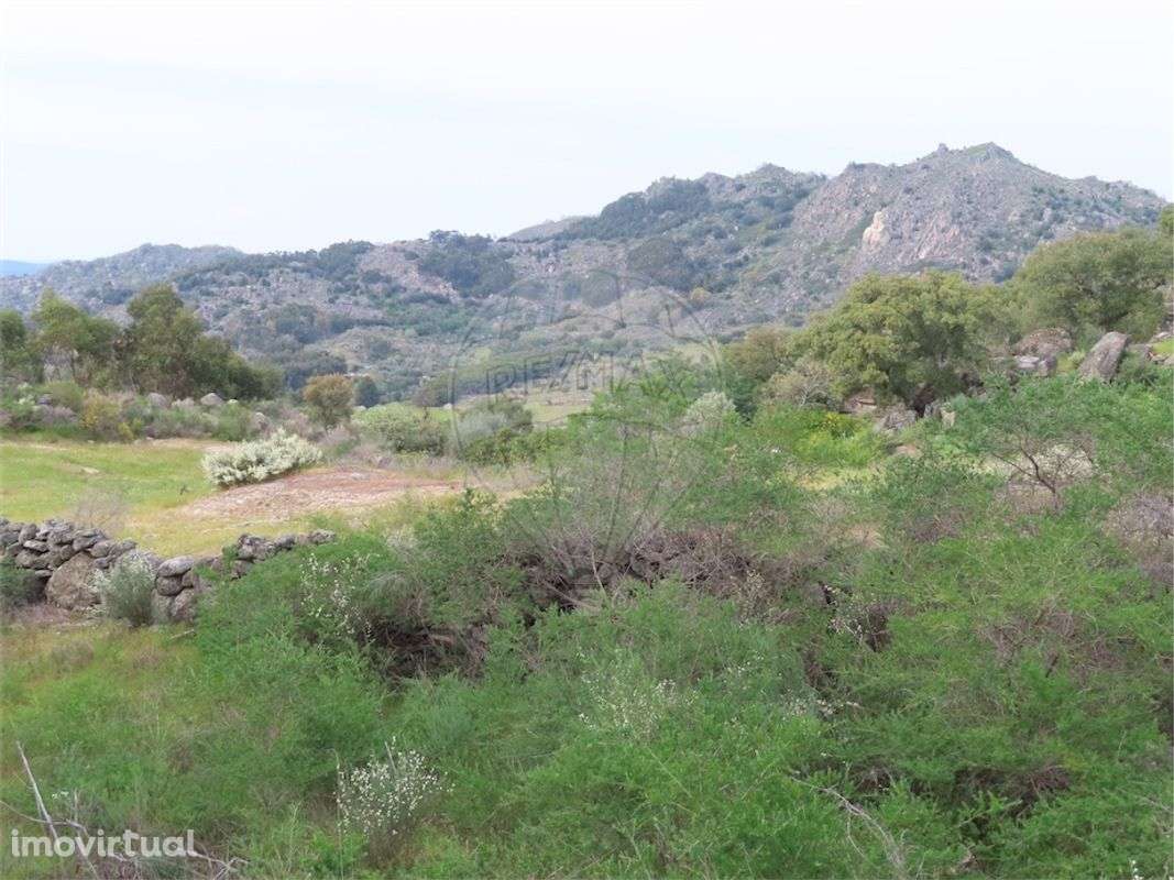 Quinta  para venda - Grande imagem: 5/28