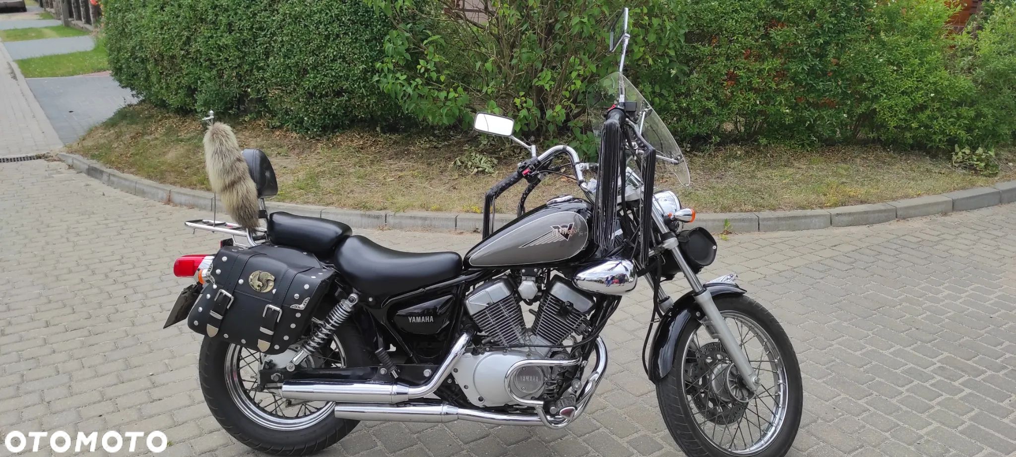 Yamaha Virago - 1