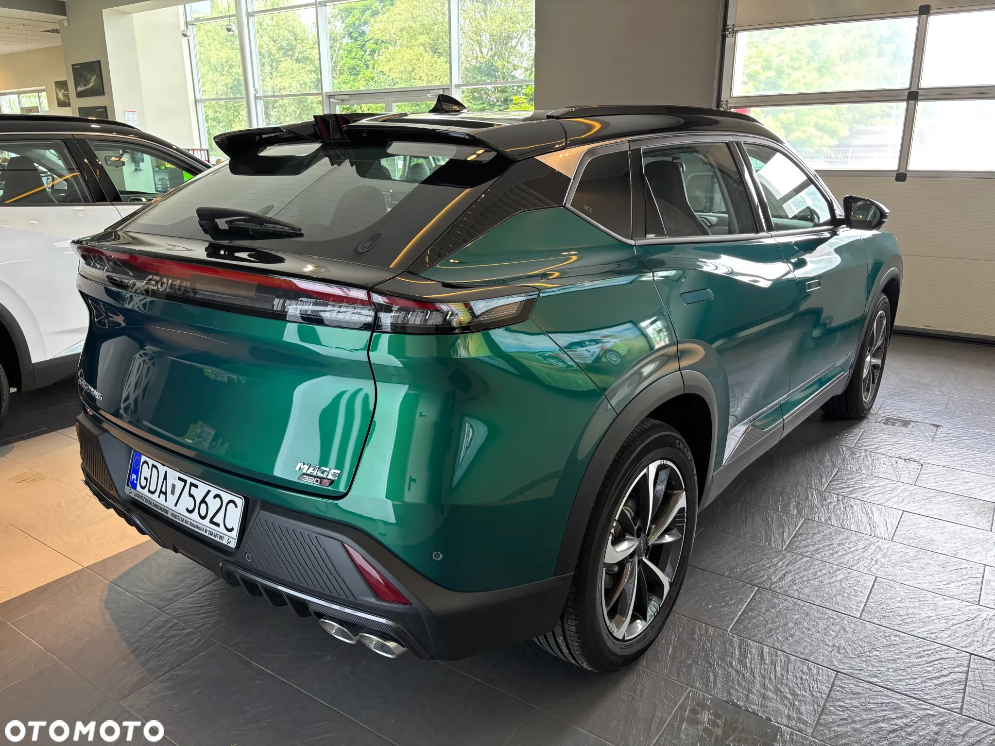 Dongfeng Mage - 8