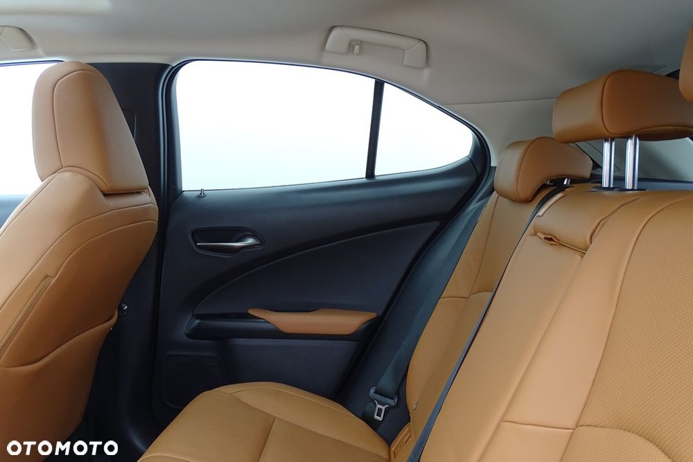 Lexus UX 300e 54.3 kWh Prestige 2WD - 25