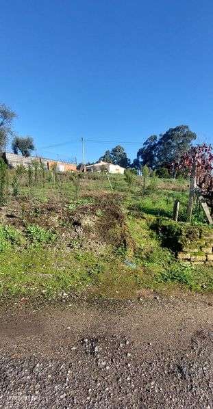 Vendo terreno urbano - Grande imagem: 3/7