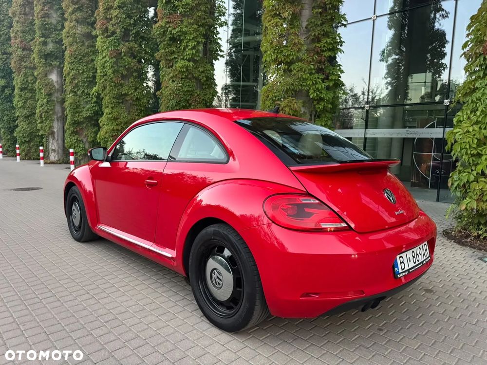Volkswagen Beetle - 3