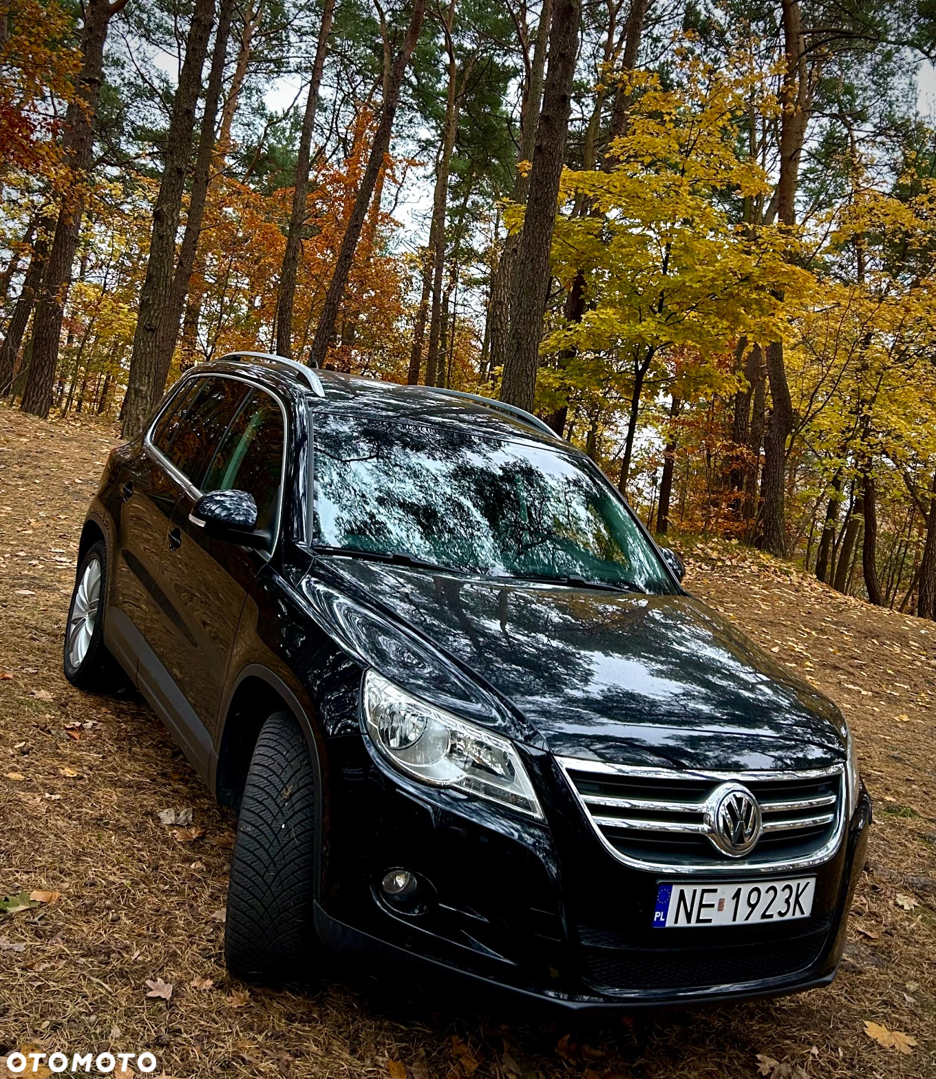 Volkswagen Tiguan 1.4 TSI BlueMotion Technology Team - 14