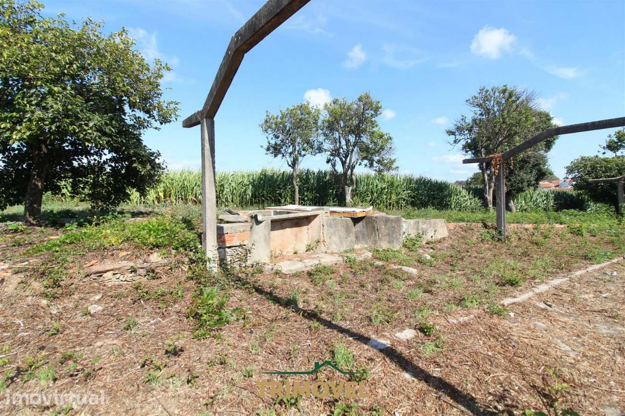 Moradia para remodelar em Válega, Ovar - Grande imagem: 5/18