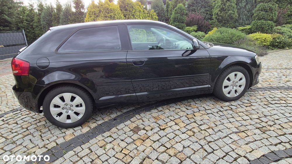 Audi A3 3-drzwiowe 1.6 Attraction - 8