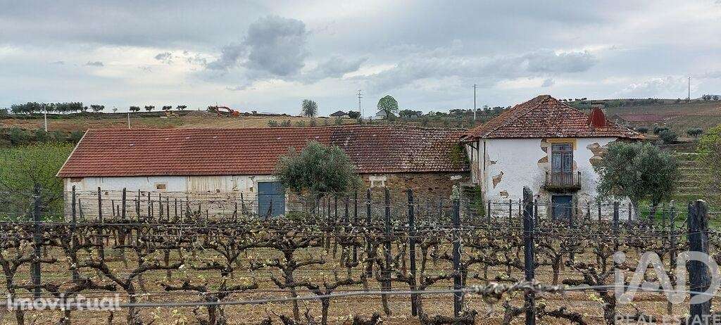 Quinta em Alijó de 872,00 m2 - Grande imagem: 5/30