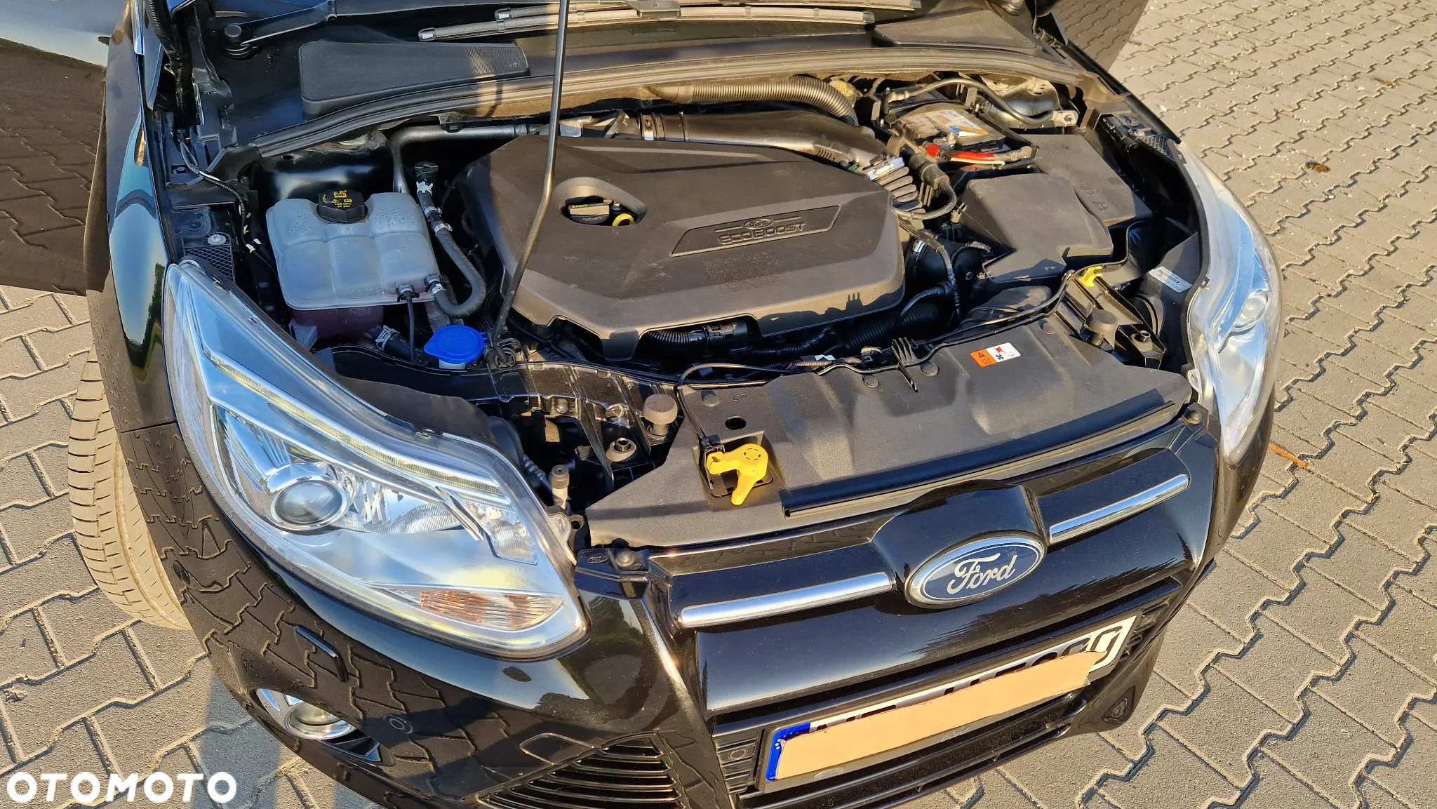 Ford Focus - 8