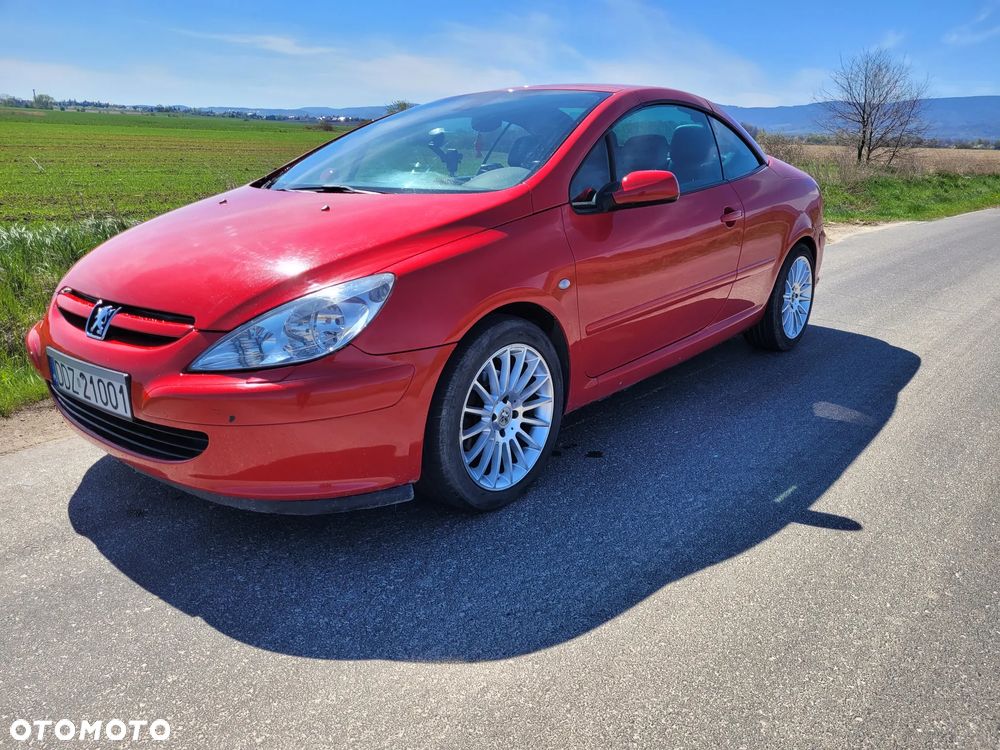 Peugeot 307 CC 2.0 - 13