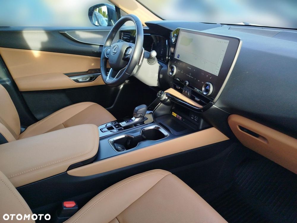Lexus NX - 10