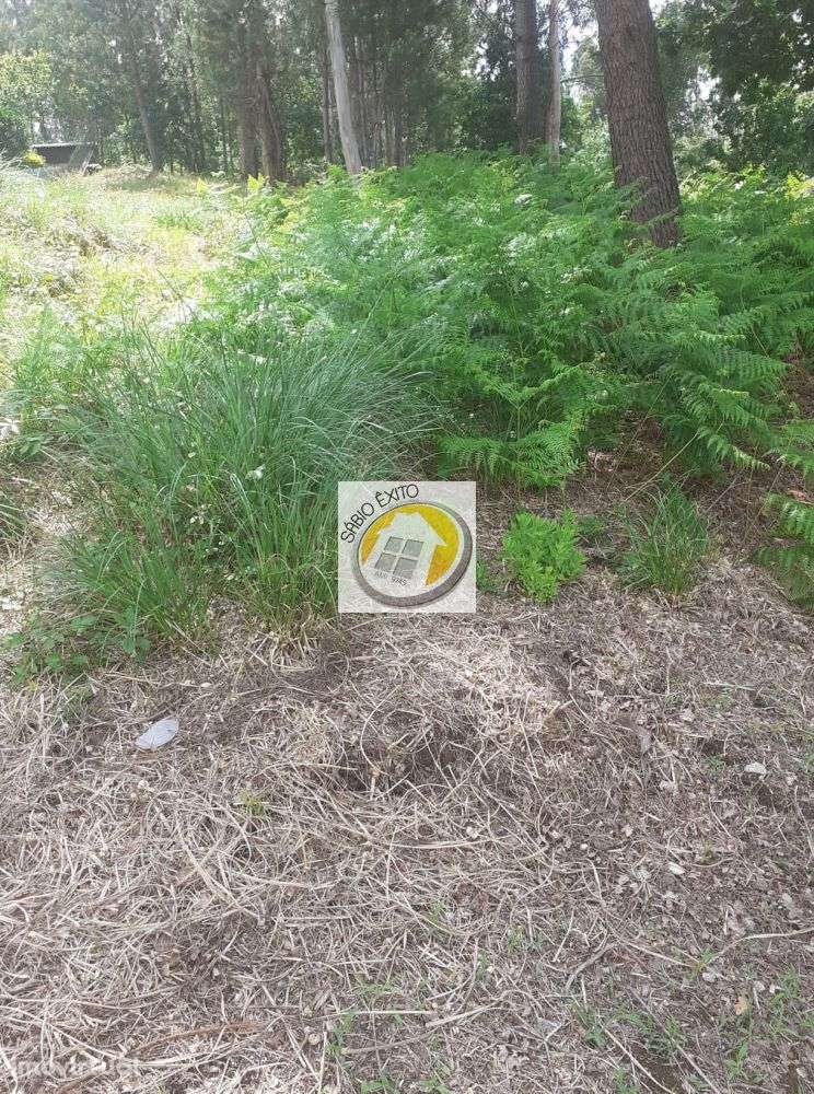 Terreno Urbano com 1000 m2 em Olival, Gaia - Grande imagem: 2/8