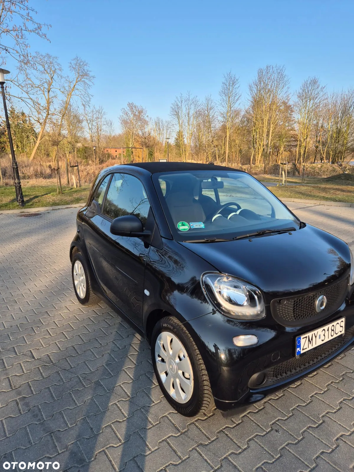 Smart Fortwo Standard - 12