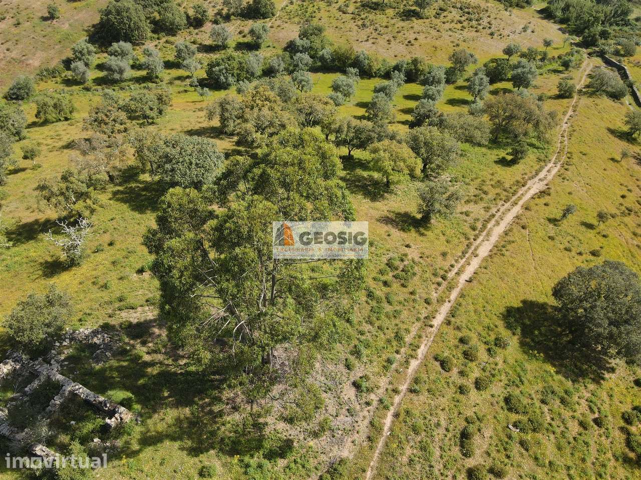 Quintinha T1 Venda em Almodôvar e Graça dos Padrões,Almodôvar - Grande imagem: 5/34
