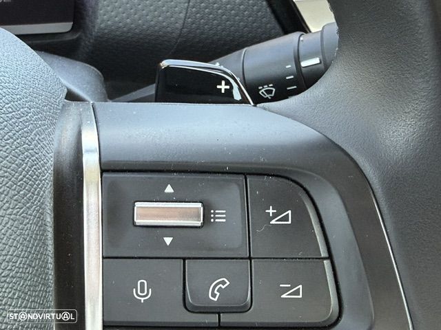 Citroën C4 X BlueHDi 130 Stop&Start EAT8 MAX - 19