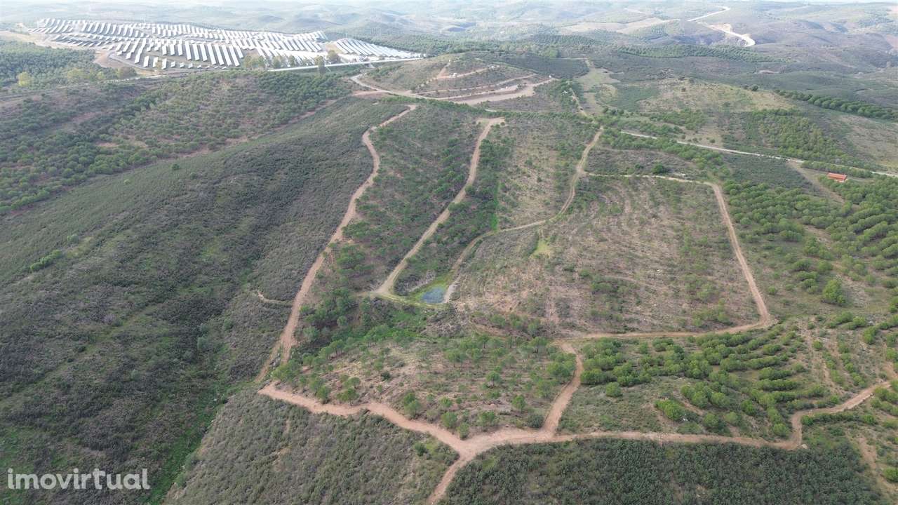 Terreno Rústico  Venda em Alcoutim e Pereiro,Alcoutim - Grande imagem: 4/22