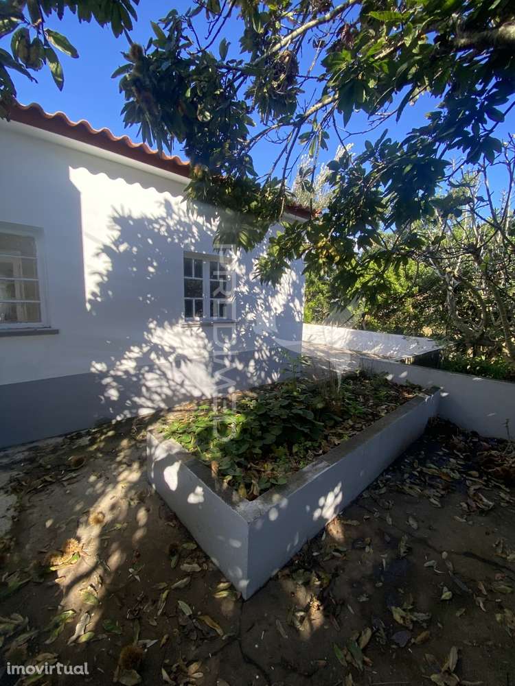 Moradia T3 com terreno e potencial de rentabilidade - Grande imagem: 5/32