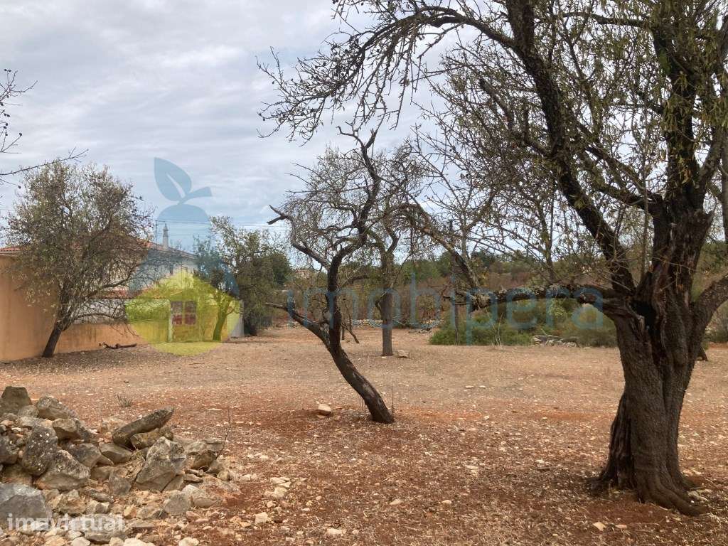 LOTE DE TERRENO COM RUÍNAS EM CERRO DO OURO - Grande imagem: 4/20