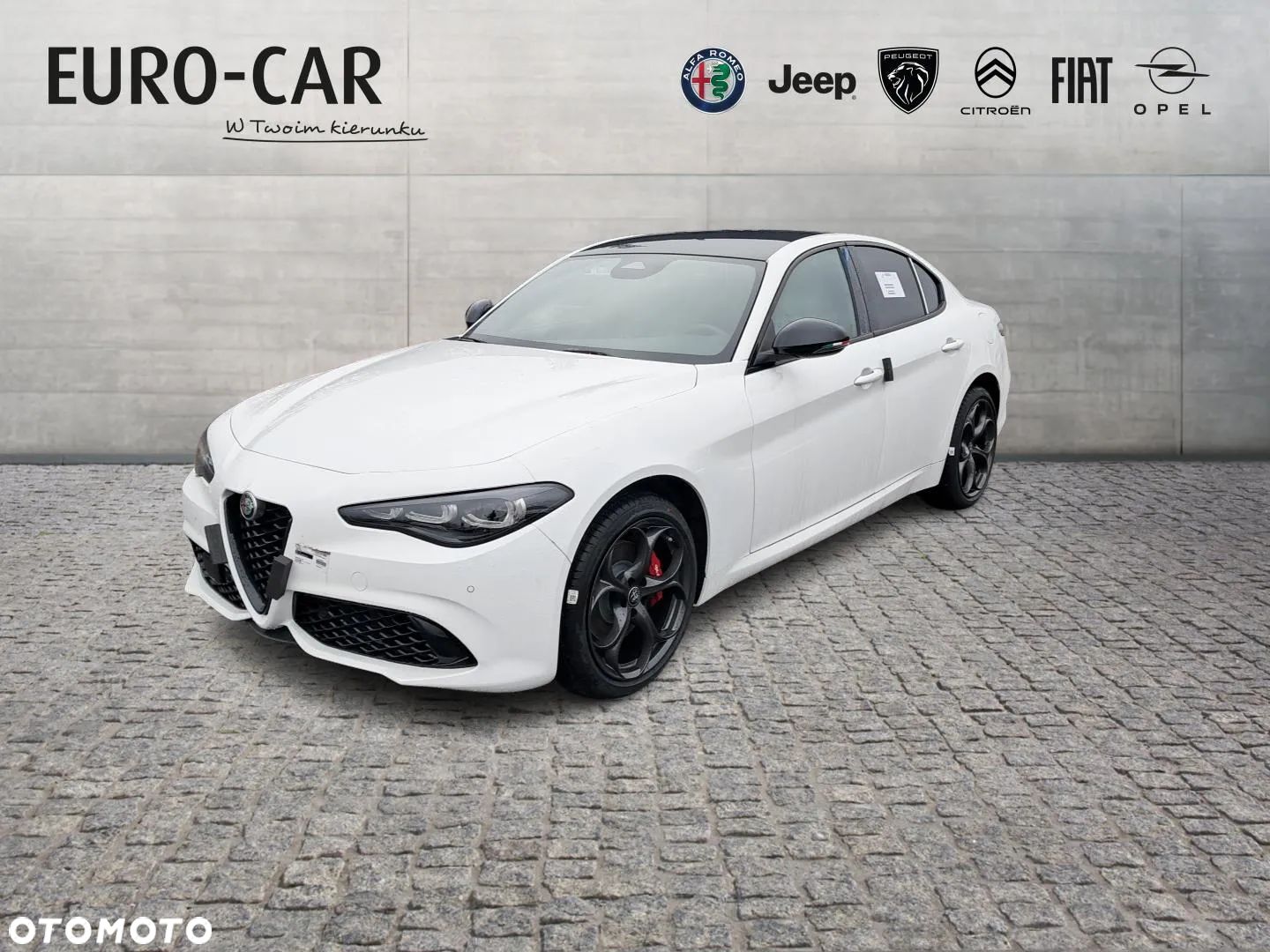 Alfa Romeo Giulia 2.0 Turbo Tributo Italiano Q4 - 1
