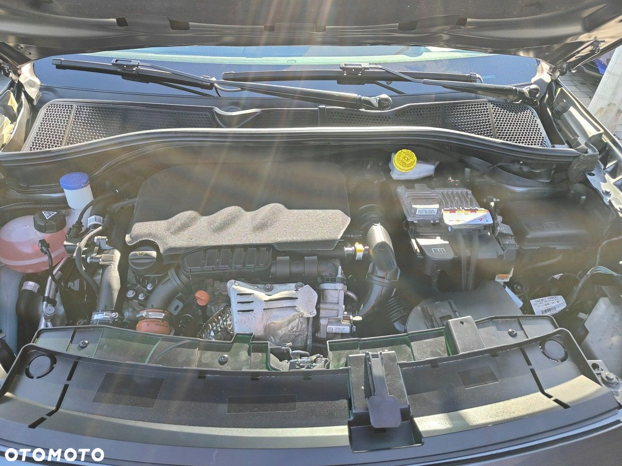 Citroën C4 Cactus - 30