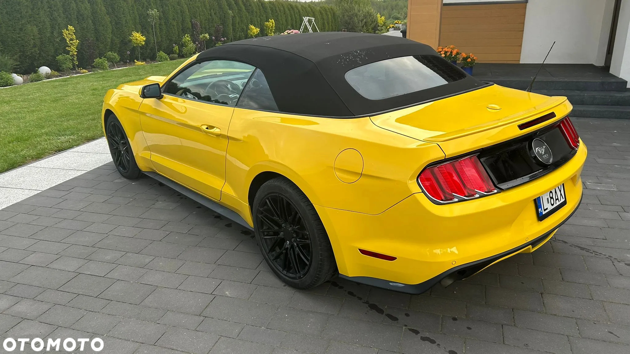Ford Mustang 2.3 EcoBoost - 6