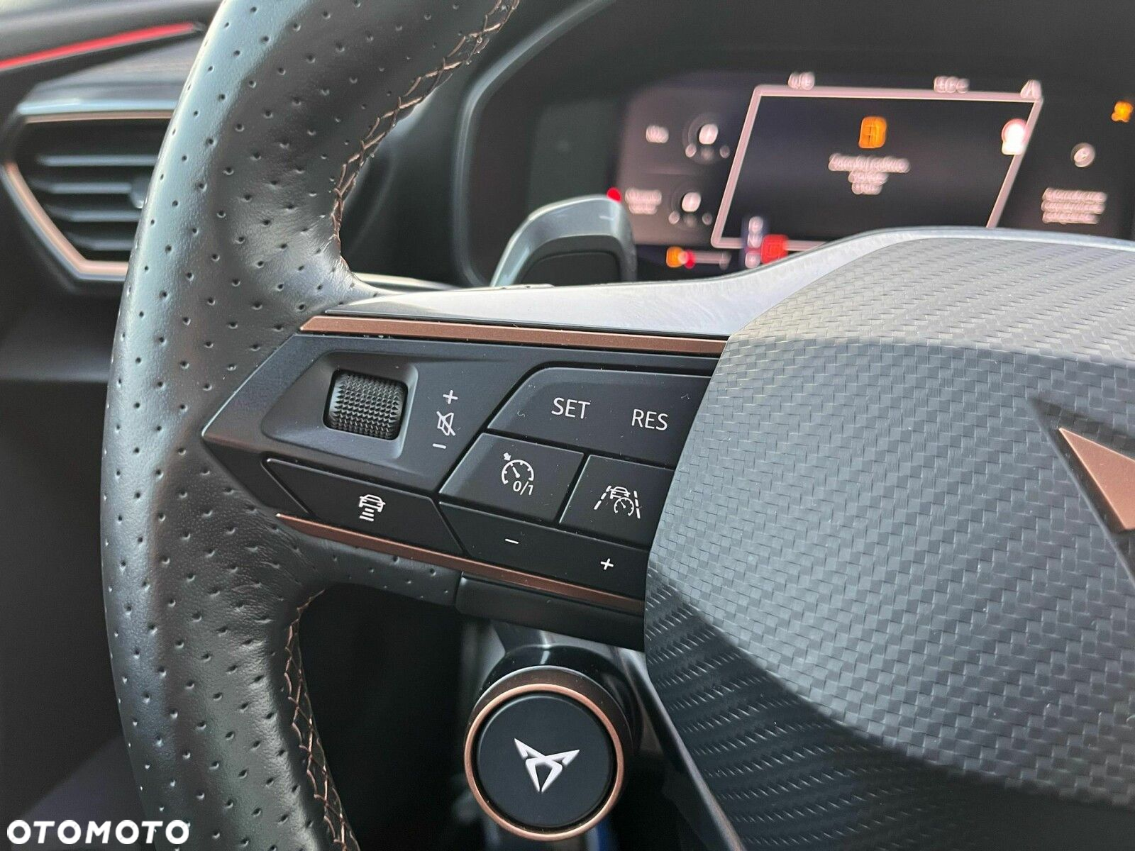 Cupra Formentor 2.0 TSI 4Drive VZ DSG - 15