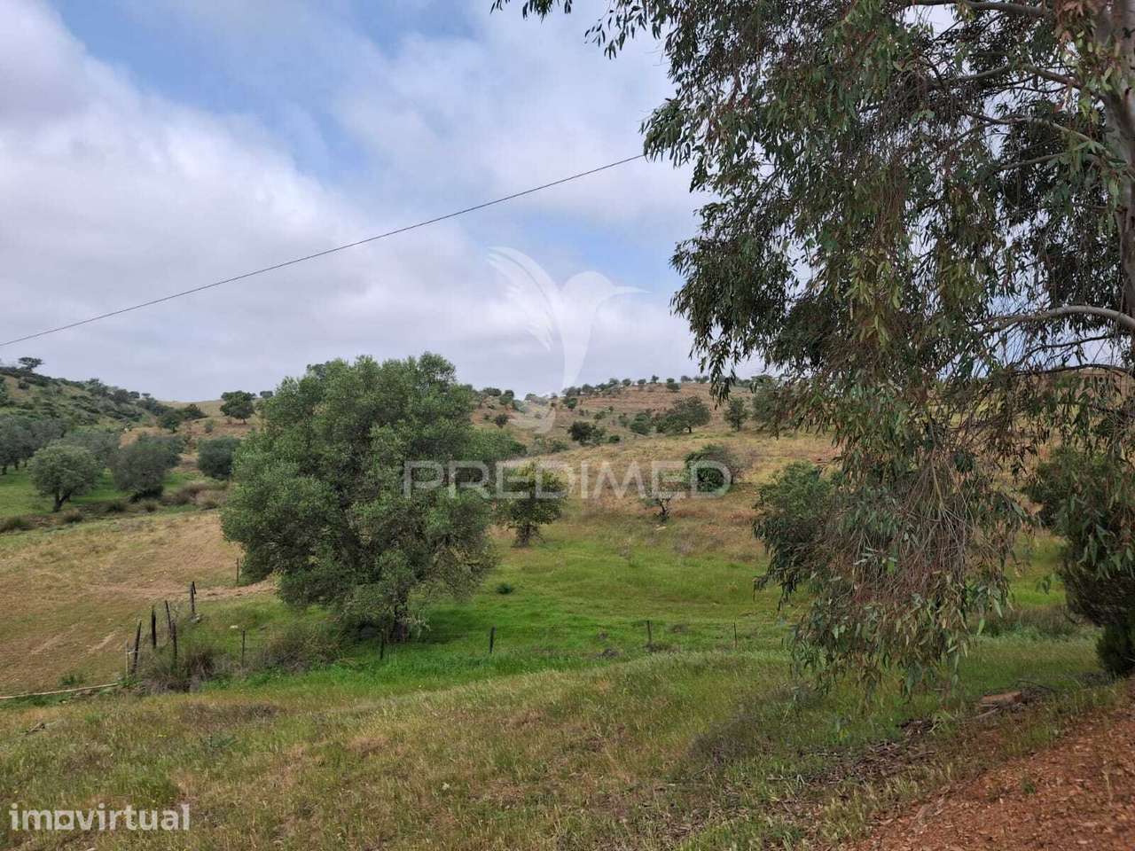 Terreno Rustico - Pulo do Lobo -Mértola - Grande imagem: 3/30
