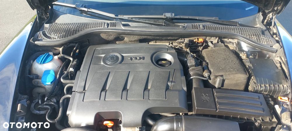 Skoda Octavia 1.6 TDI DPF Elegance - 16