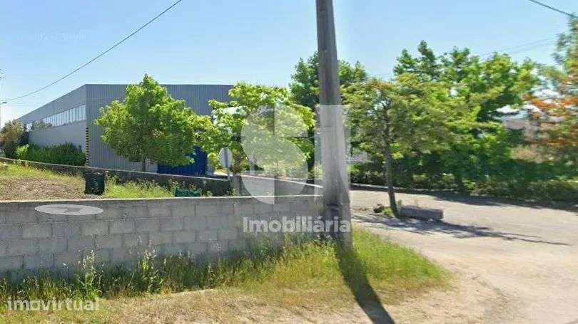 GRANDE ARMAZÉM - Grande imagem: 5/6