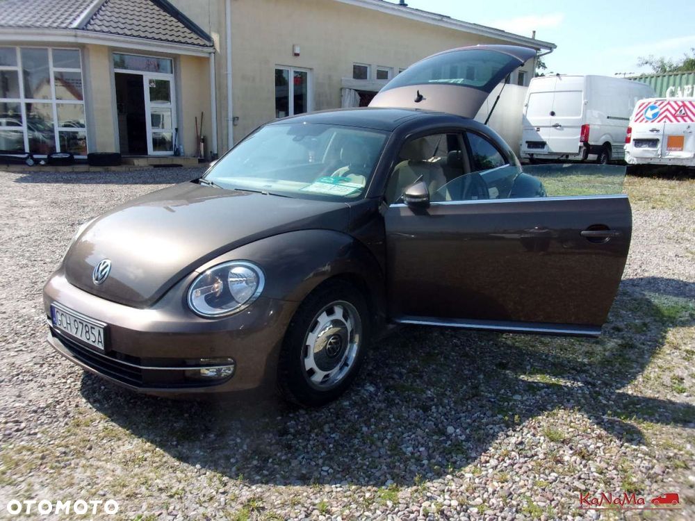 Volkswagen Beetle - 4
