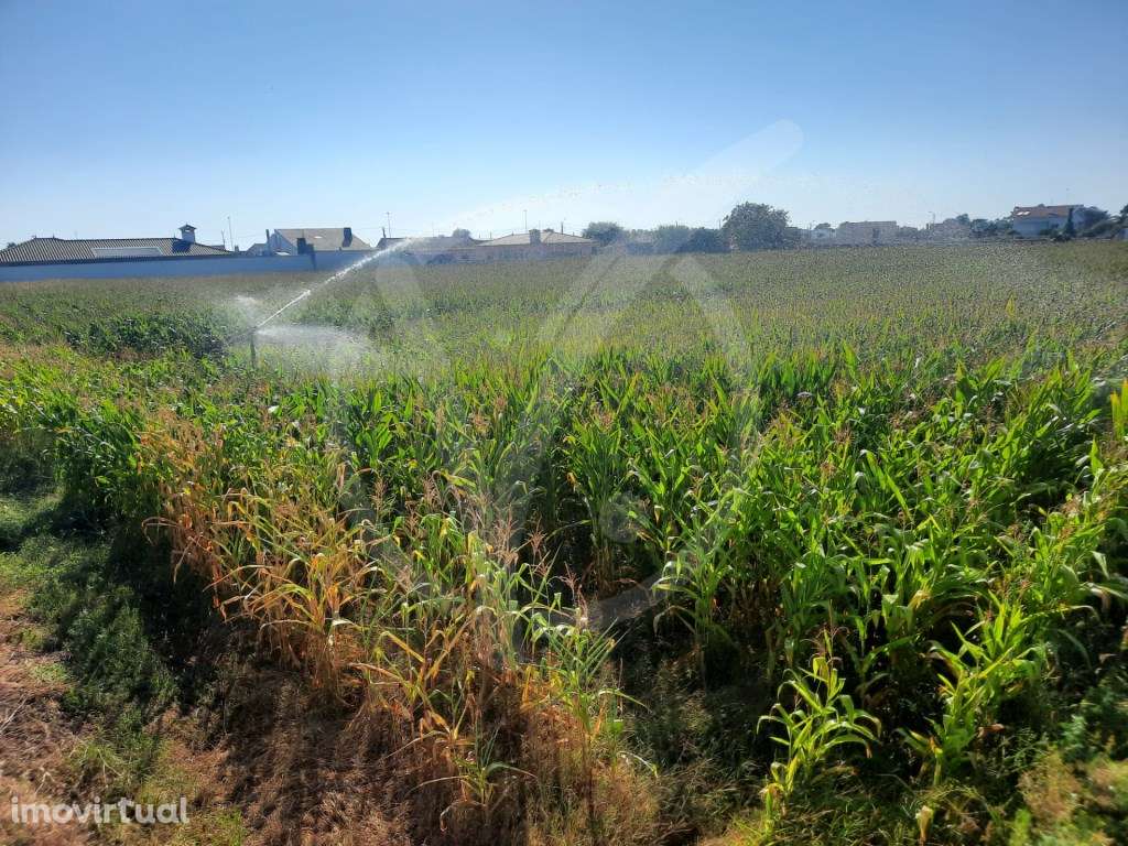Terreno c/ 6.000 m2 - Estela Póvoa de Varzim - Grande imagem: 4/5