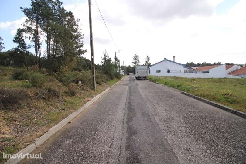 Terreno  Venda em Carregueira,Chamusca - Grande imagem: 2/5