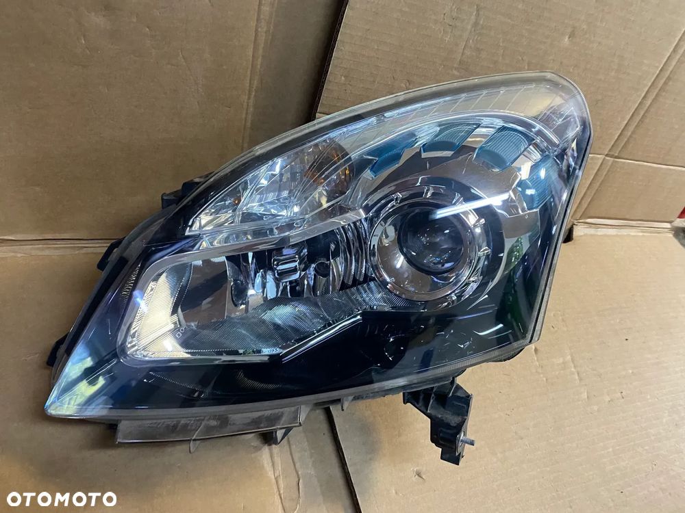 lampy koleos I bi xenon lewa eu cała - 1