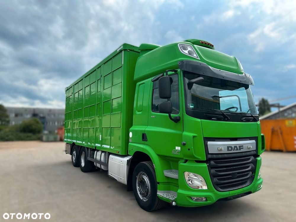 DAF CF 440 6x2 | Transport Zwierząt | KA-BA 3 Poziomy | Euro 6 | Automat | 2017 r - 3