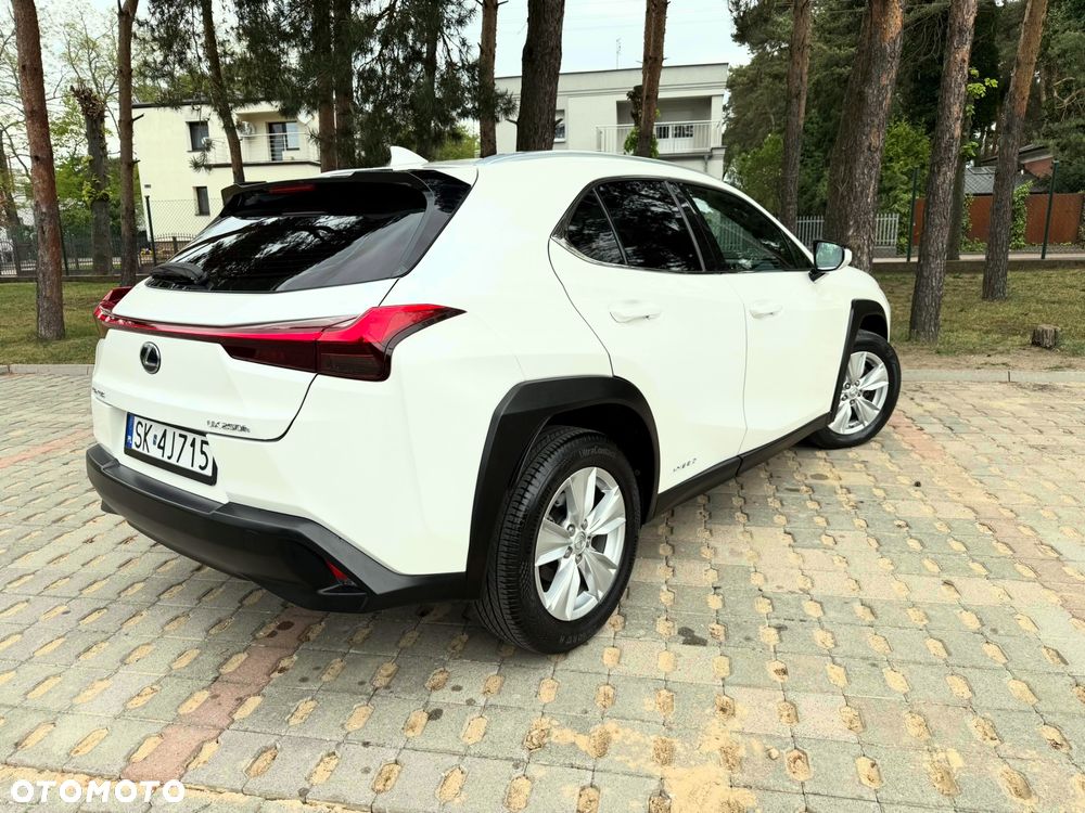 Lexus UX 250h Prestige 2WD - 6