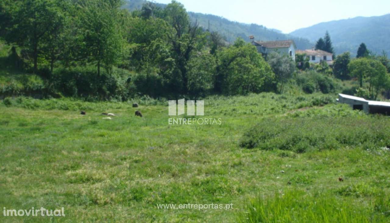 Venda Terreno, vista desafogada, São Cristóvão de Nogueira, Cinfãe - Grande imagem: 5/9