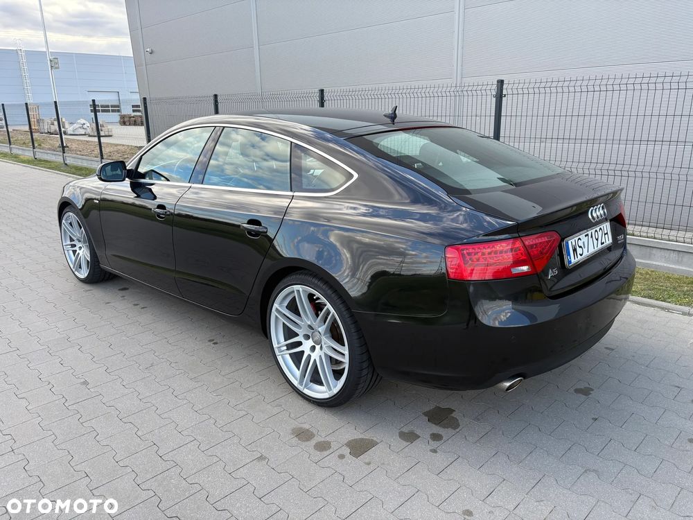 Audi A5 Sportback 3.0 TDI clean diesel quat DPF S tro - 8