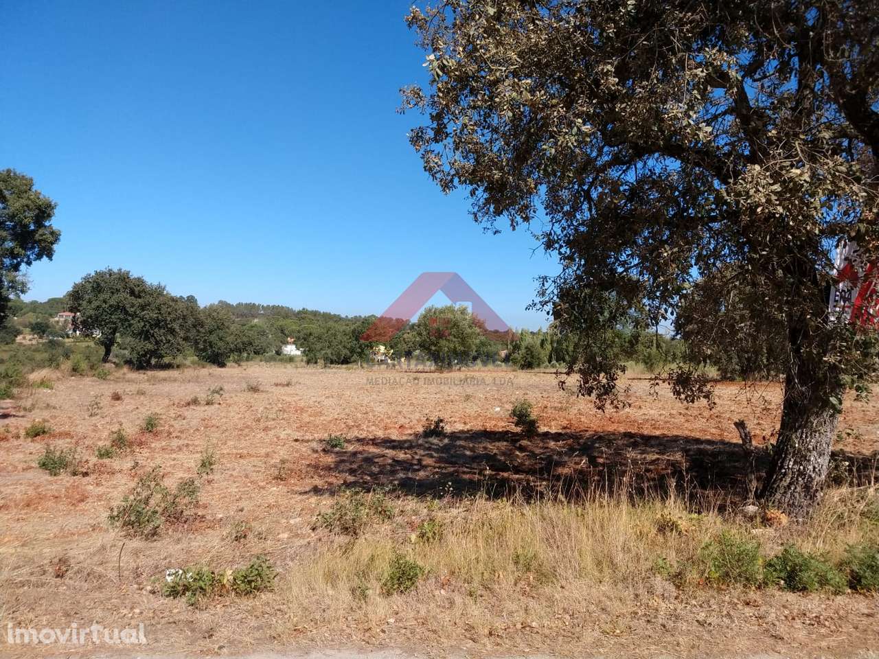 Terreno Rústico  Venda em Póvoa da Isenta,Santarém - Grande imagem: 2/4