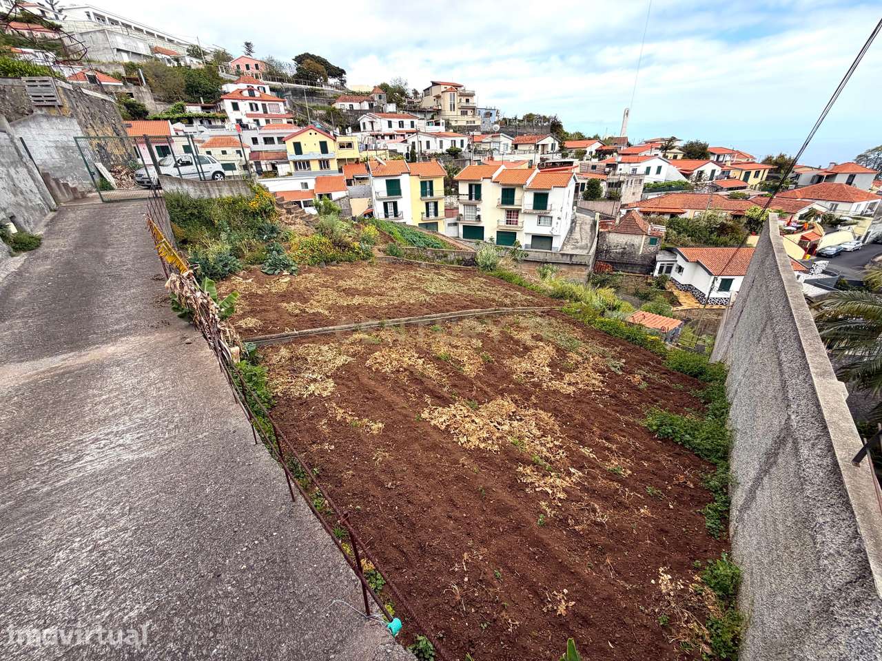 Terreno com Vista sobre o Funchal - Livramento - Monte - Grande imagem: 3/6