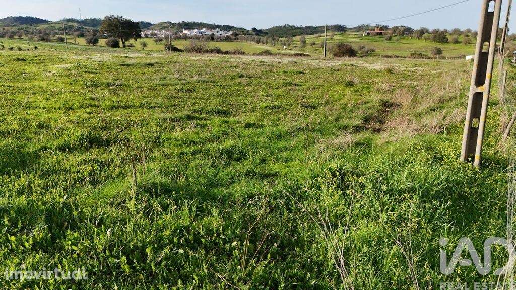 Terreno em Garvão e Santa Luzia - Grande imagem: 2/4