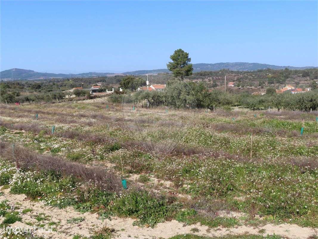 Quinta  para venda - Grande imagem: 5/34