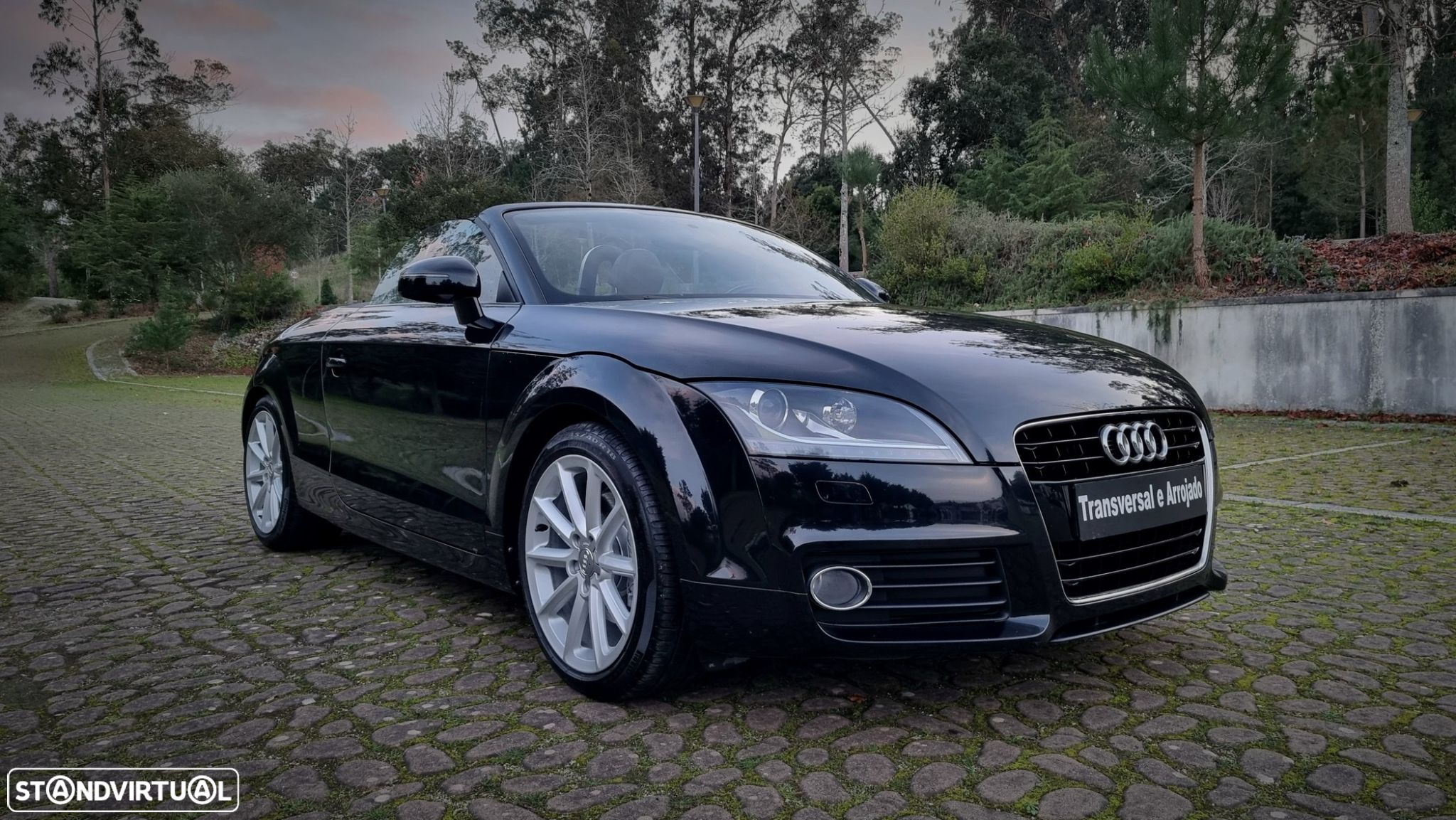 Audi TT Roadster 1.8 TFSi - 19