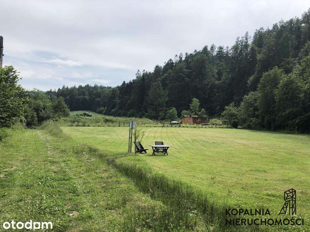 Zeme, 1000 m²