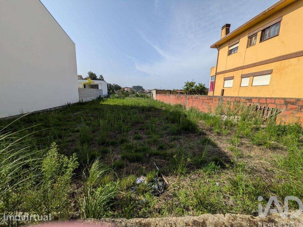 Terreno para construção em Madalena - Grande imagem: 4/9