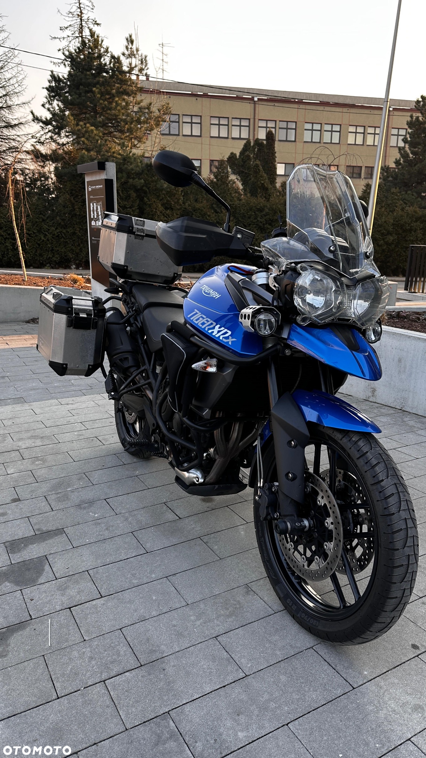 Triumph Tiger - 11
