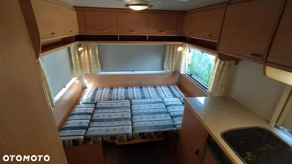 Wilk sport - 30